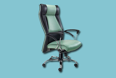 Ergonomic Chairs Traders