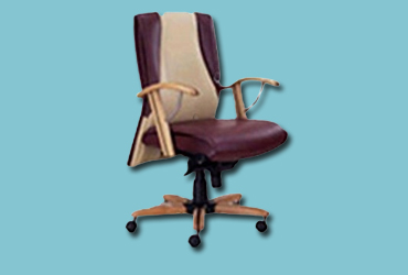 Ergonomic Chairs Dealer