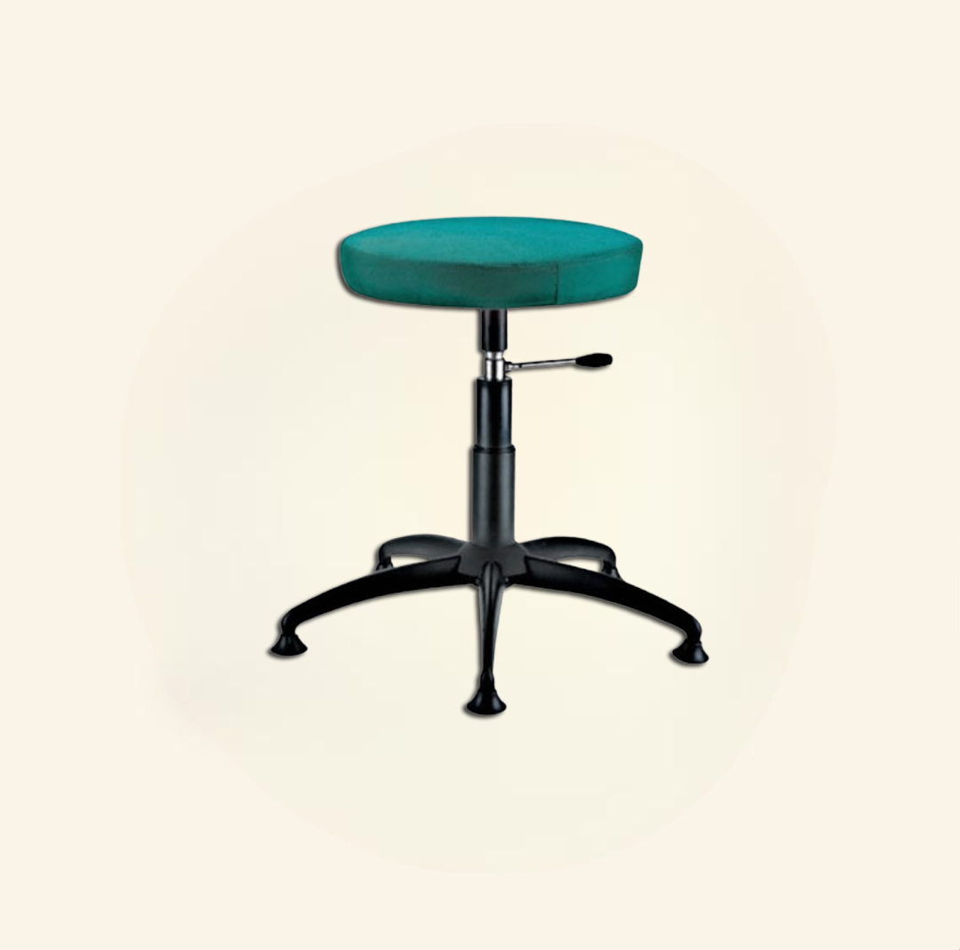 Revolving Back Rest Stool Dealer